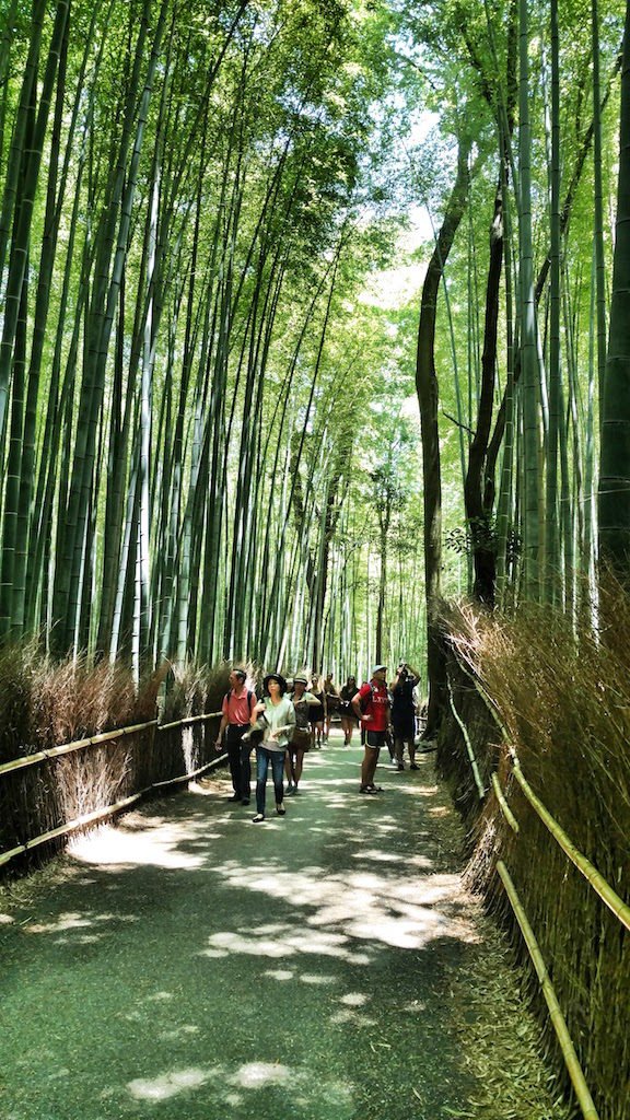 Bosque de bambú de Arashiyama