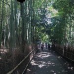 Bosque de bambú Arashiyama header