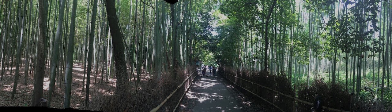 #JaponATB: Kioto y el bosque de bambú de Arashiyama
